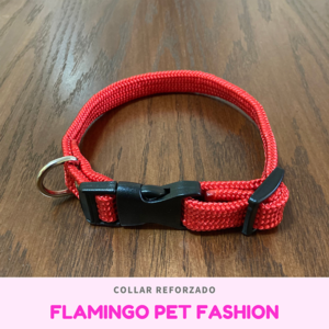 Collar Reforzado